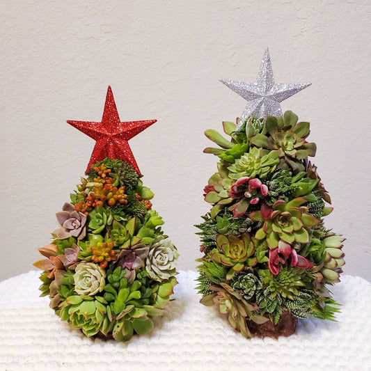 Small Succulent Trimmed Christmas Tree