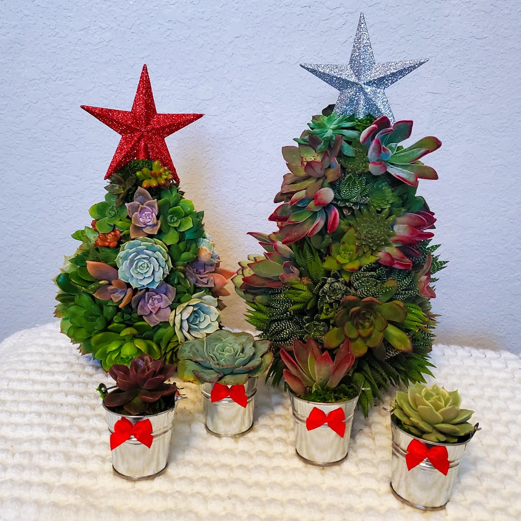 Teacher Christmas Succulent Gift Box