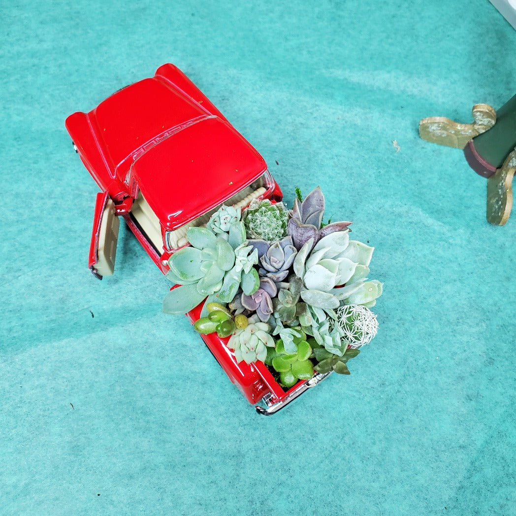 Succulent Trimmed Red Pickup Truck