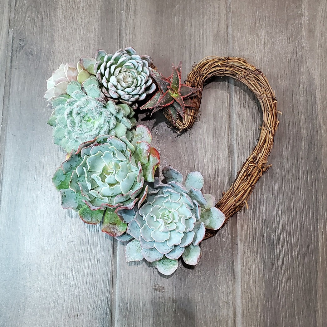 grapevine wreath with succulents Victoria Heart Grapevine Wreath