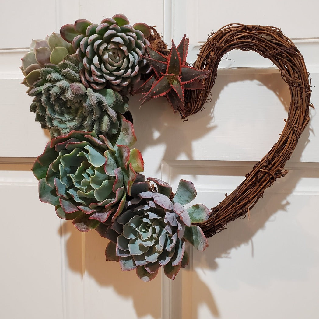 grapevine succulent wreath Victoria Heart Grapevine Wreath