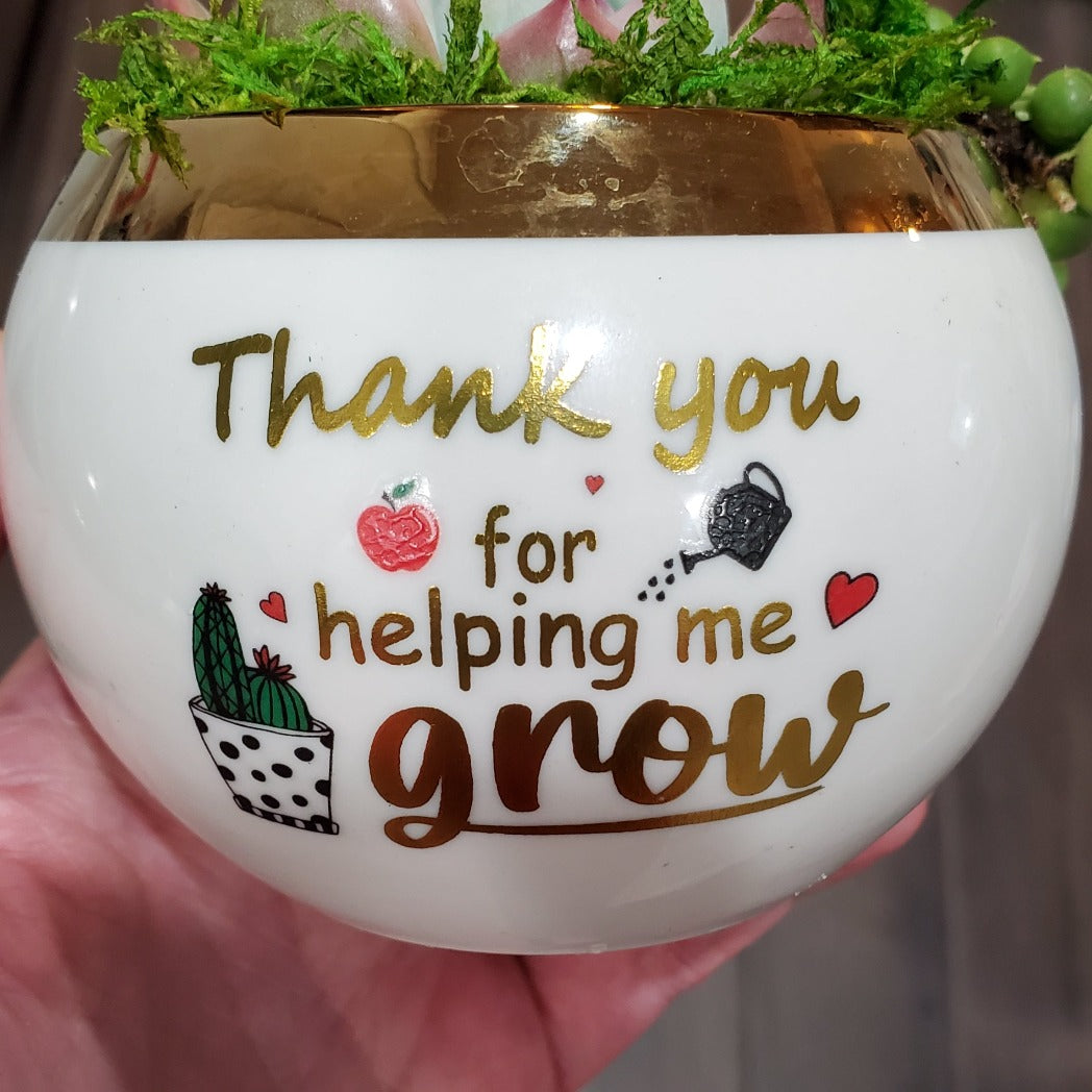 "Thank you for helping me grow" Succulent Gift Box