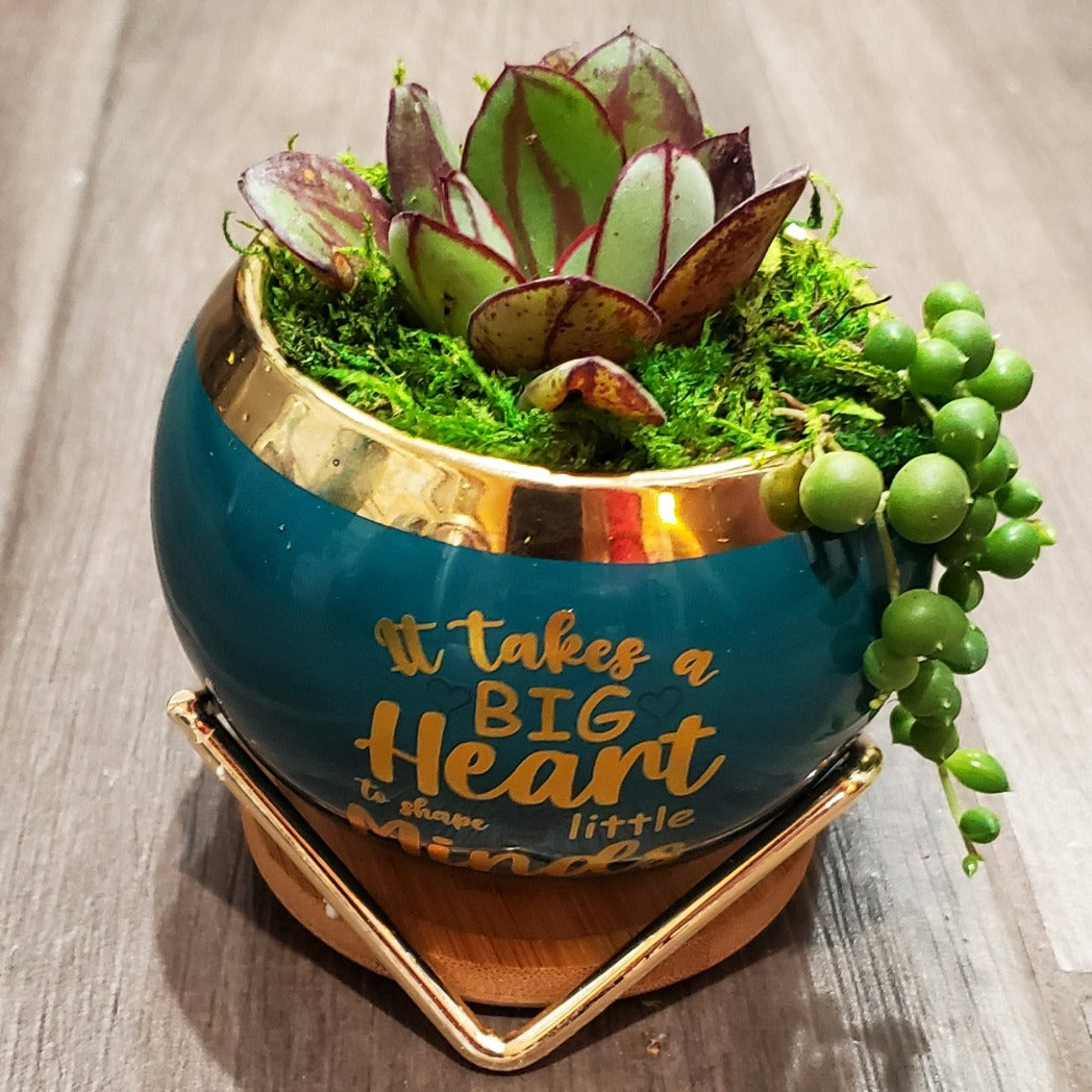 succulent in pot gift It Takes a Big Heart to Grow Little Minds Succulent Gift Box