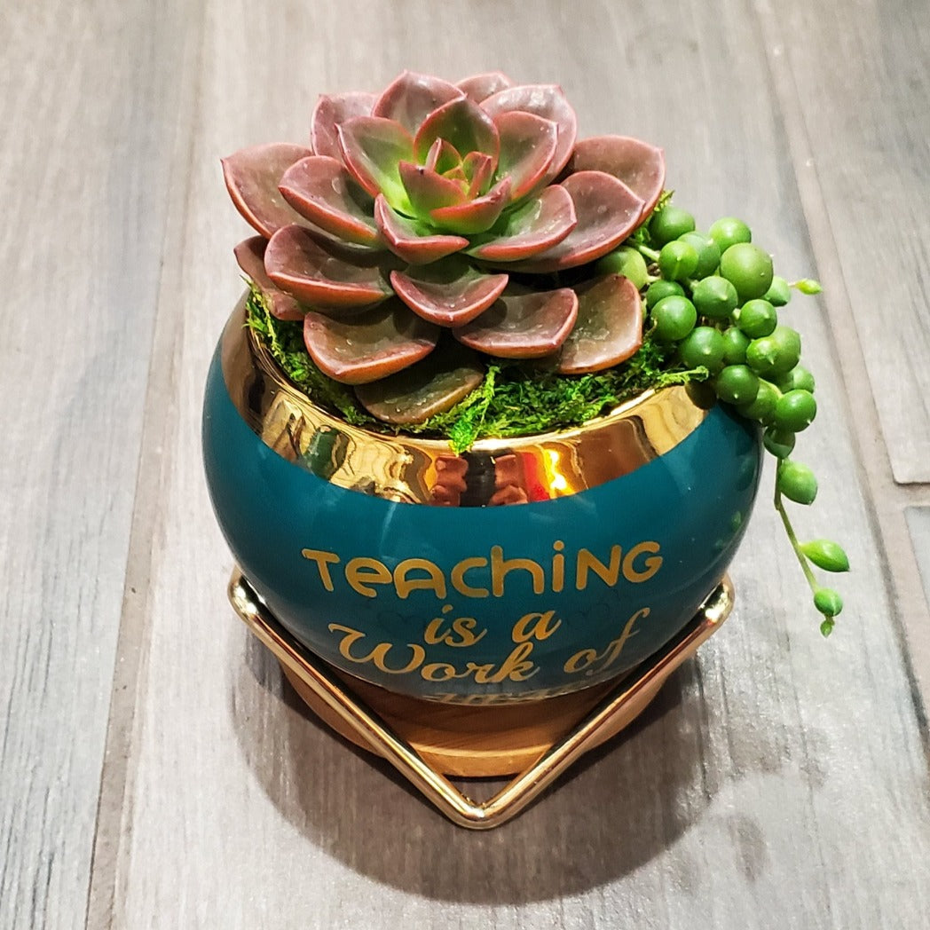 "Teaching is a Work of Heart" Succulent Gift Box
