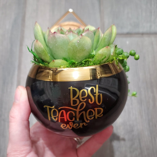 "Best Teacher Ever" Succulent Gift Box