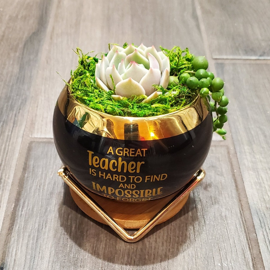 "A Great Teacher is Hard to Find" Succulent Gift Box