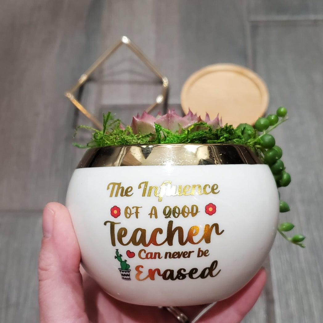 "The Influence of a Good Teacher" Succulent Gift Box