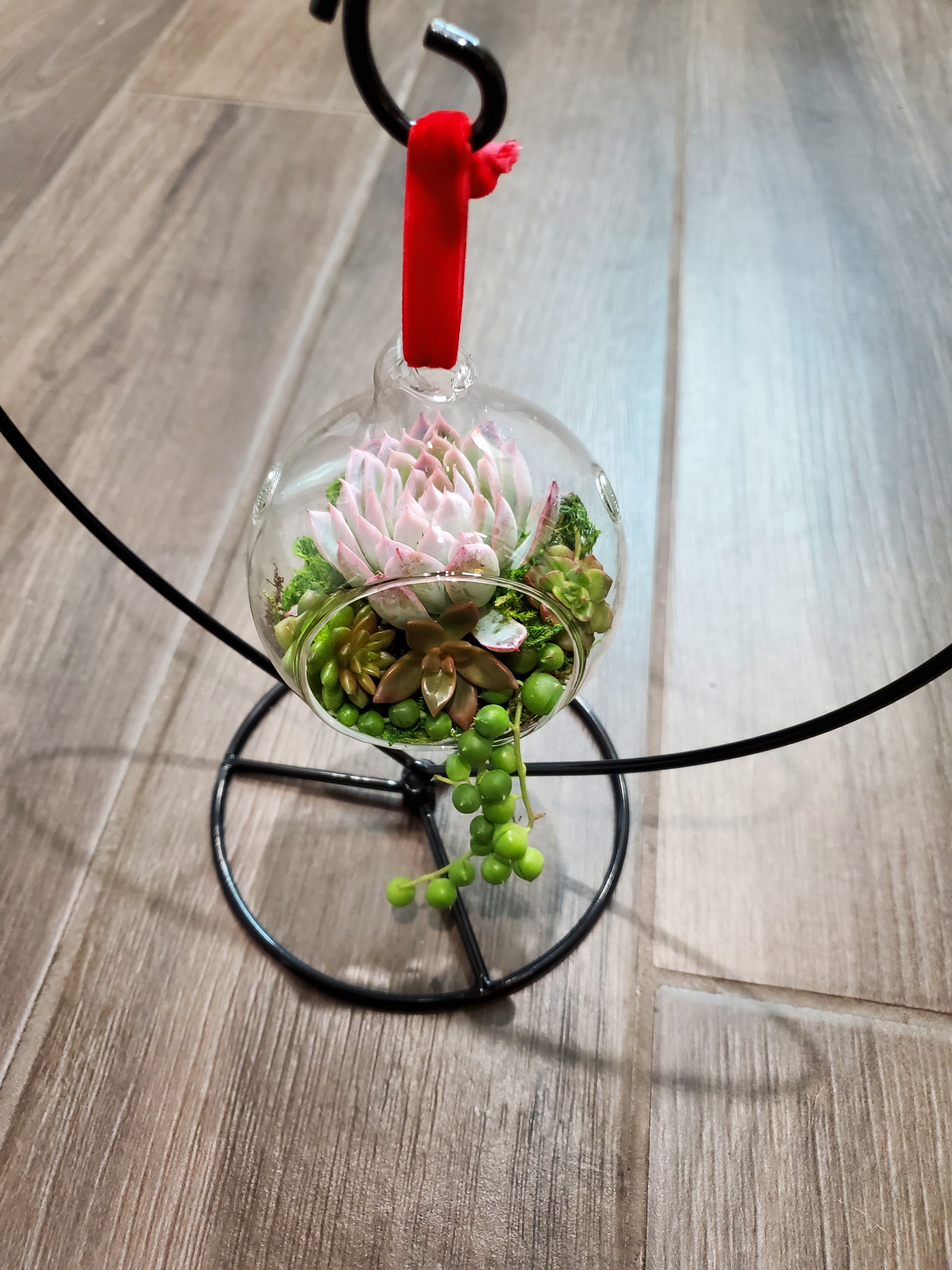 large glass hanging planter DIY Glass Succulent Hanging Terrarium Kit 1 Kit