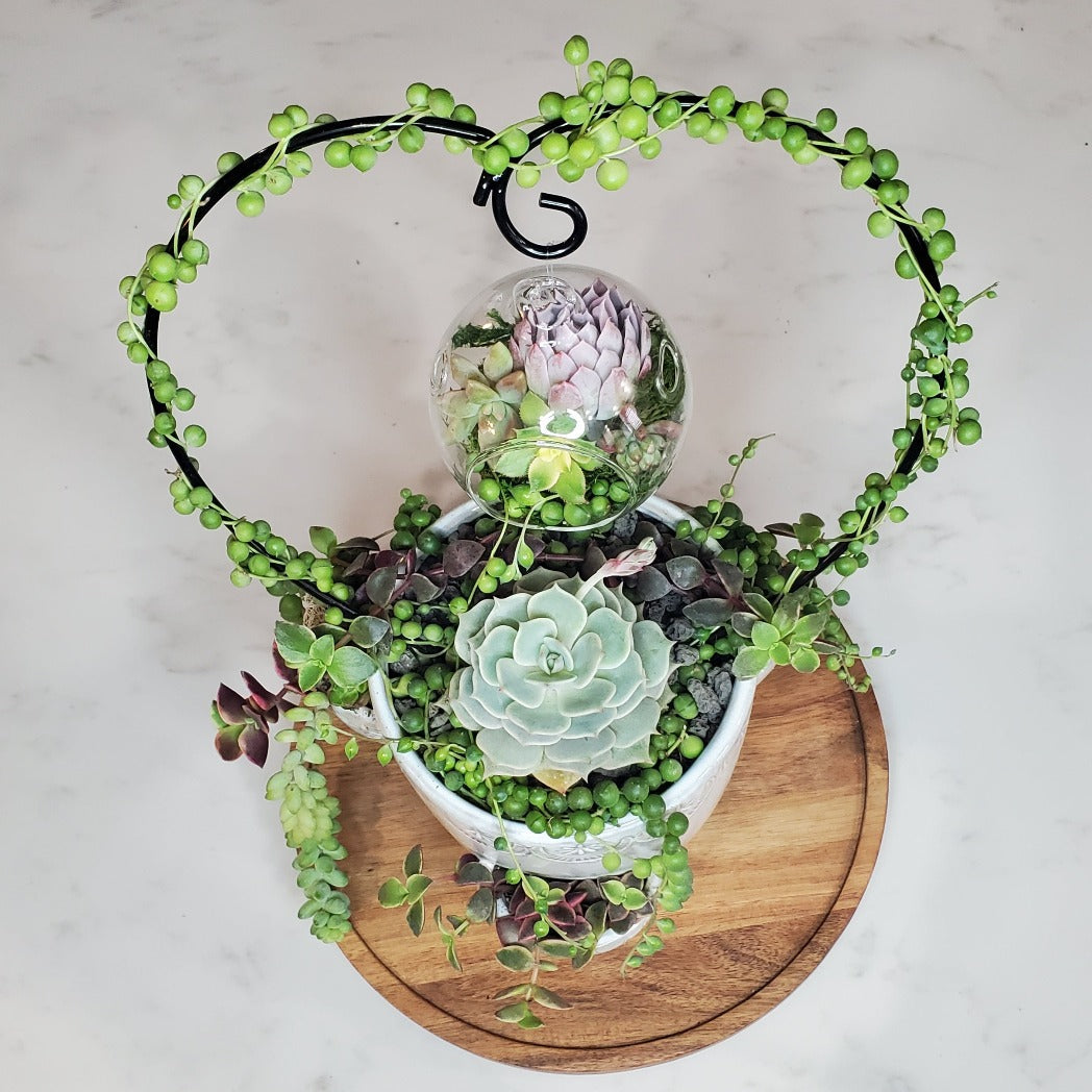 hanging terrarium planter Hanging Terrarium Heart Trellis Kit