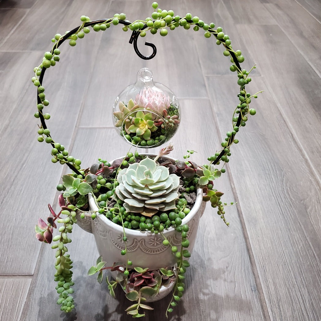 trellis for hanging plants Hanging Terrarium Heart Trellis Arrangement Kit