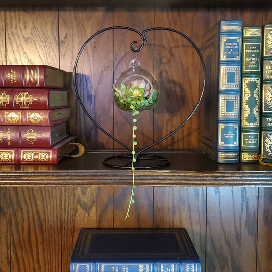 DIY Glass Succulent Hanging Terrarium Kit with Heart Stand
