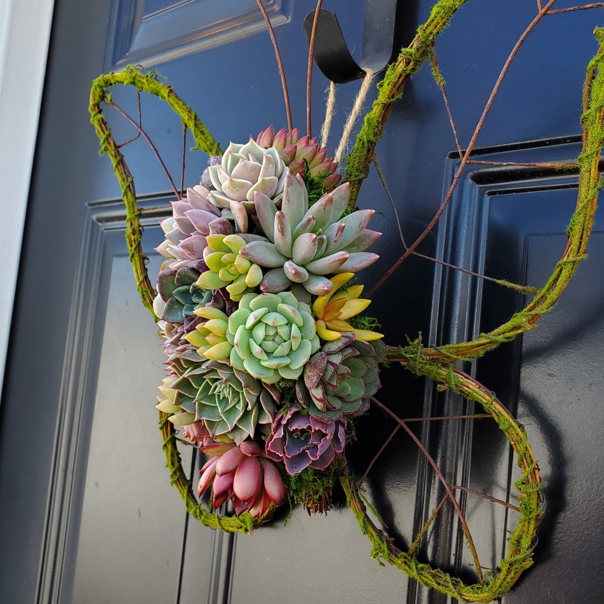 living wreath succulents Annie Butterfly Wreath
