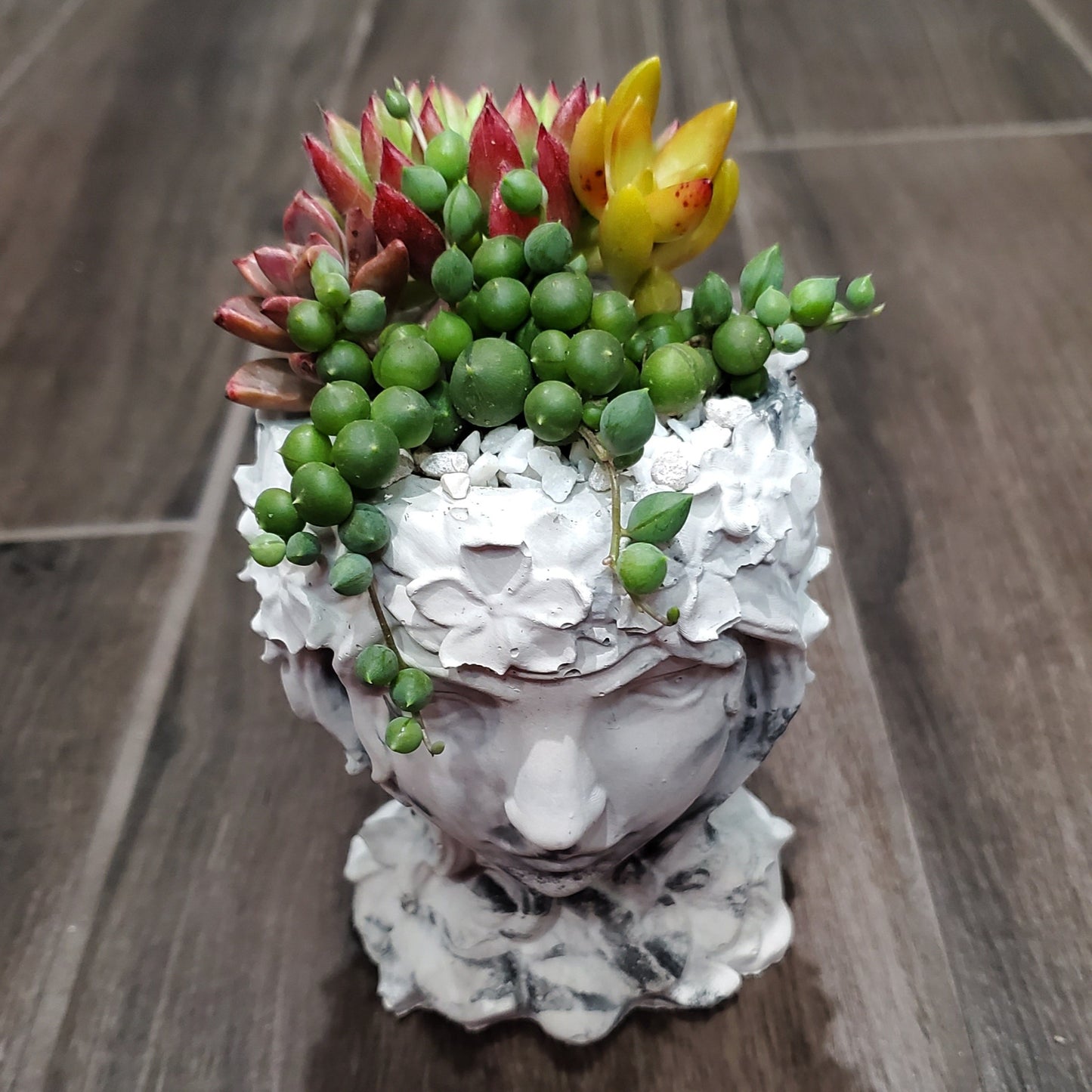 Succulent Goddess Arrangement In Black and White Marbled Planter