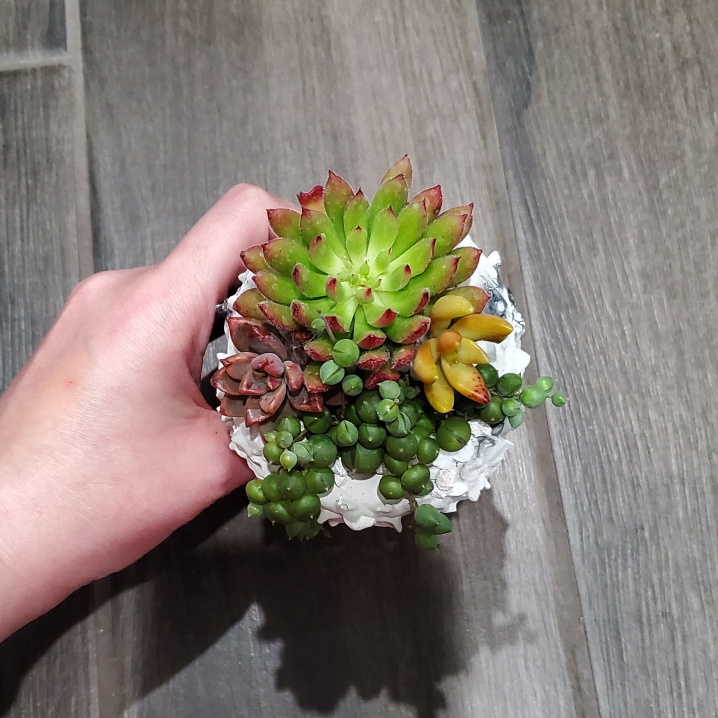 Succulent Goddess Arrangement In Black and White Marbled Planter