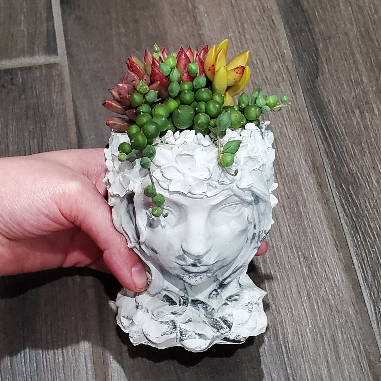 Succulent Goddess Arrangement In Black and White Marbled Planter