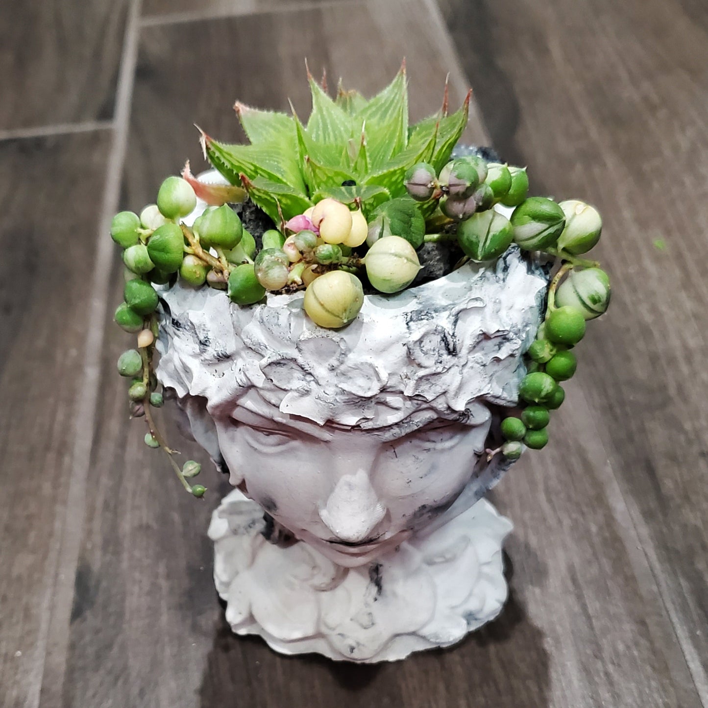 Succulent Goddess Arrangement In Black and White Marbled Planter