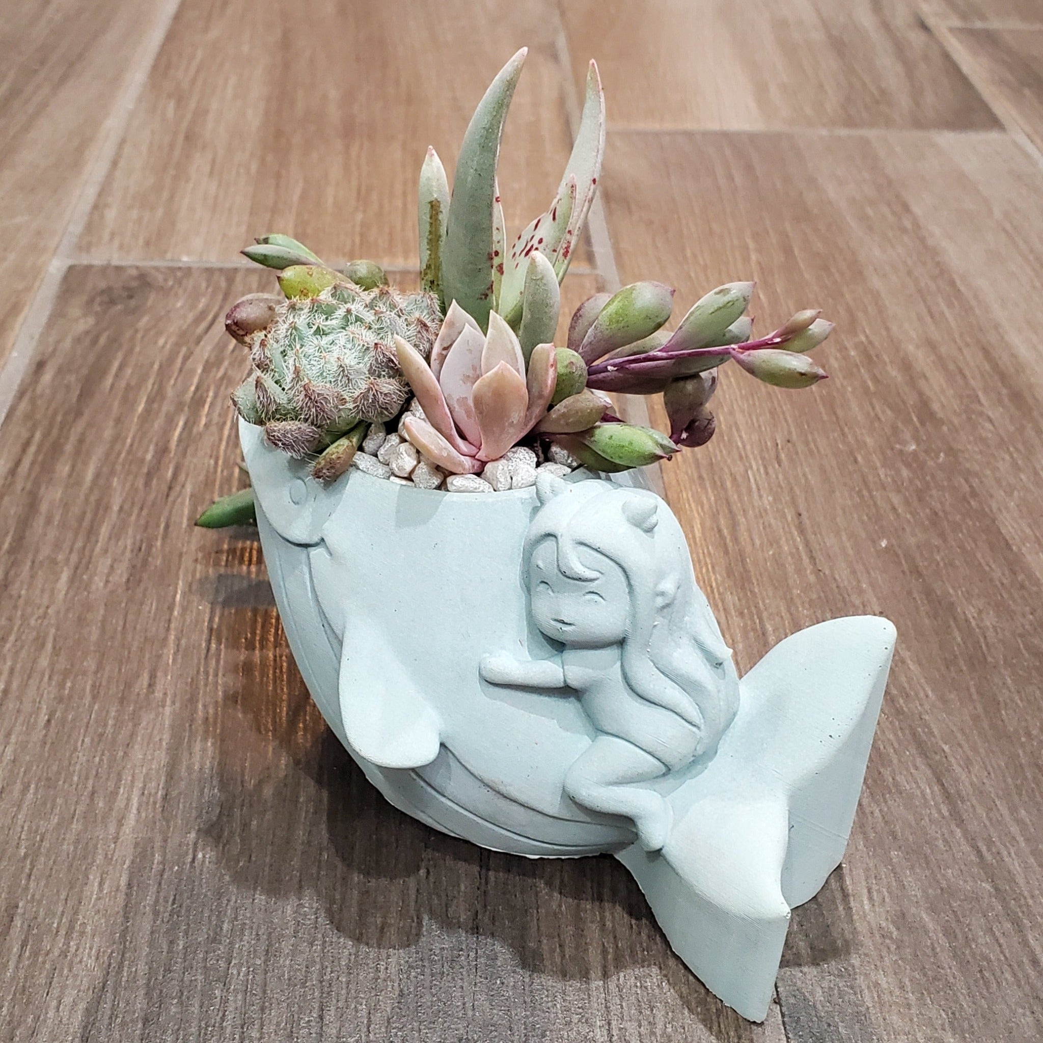 whale succulent pot Whale Planter Arrangement