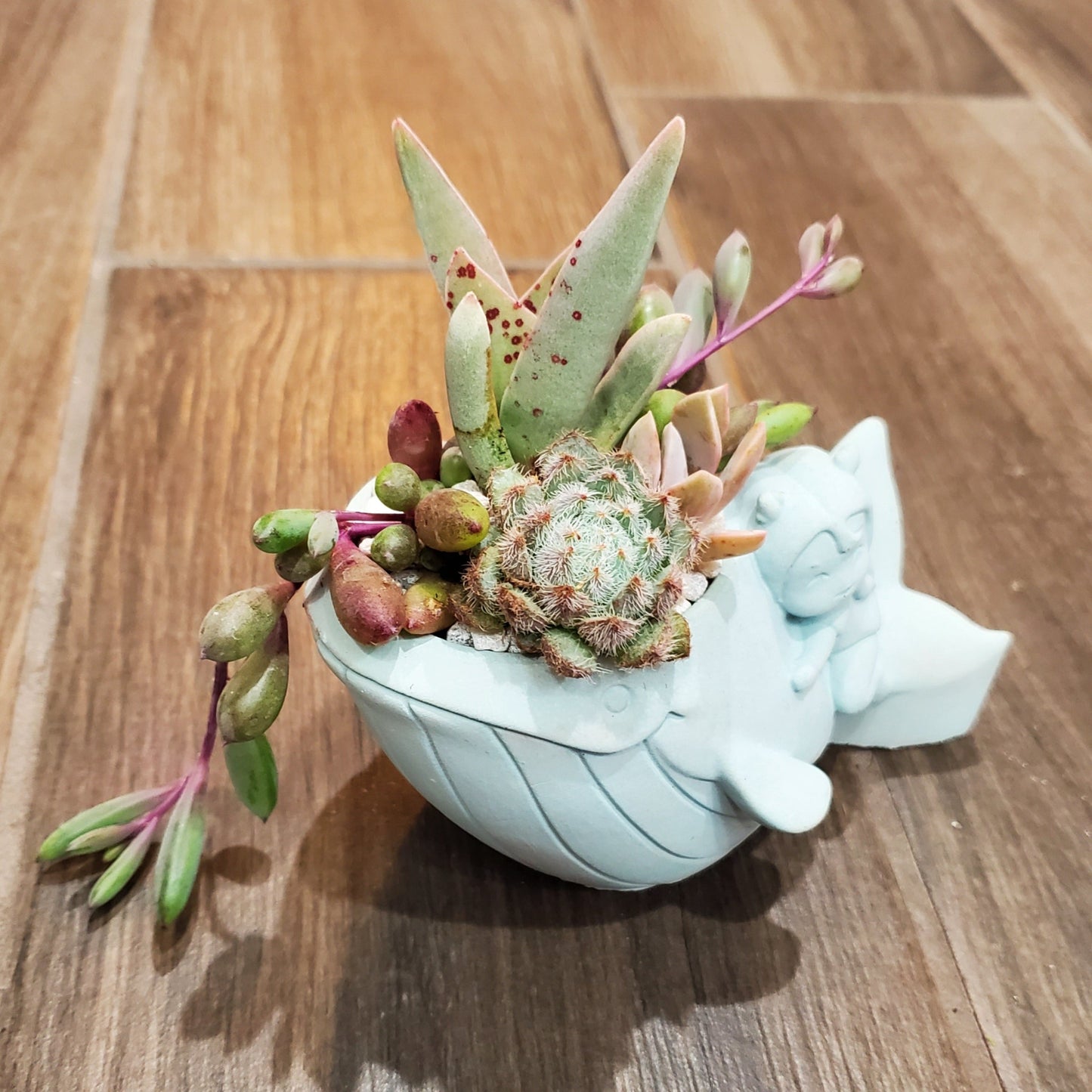 whale succulent pot Whale Planter Arrangement