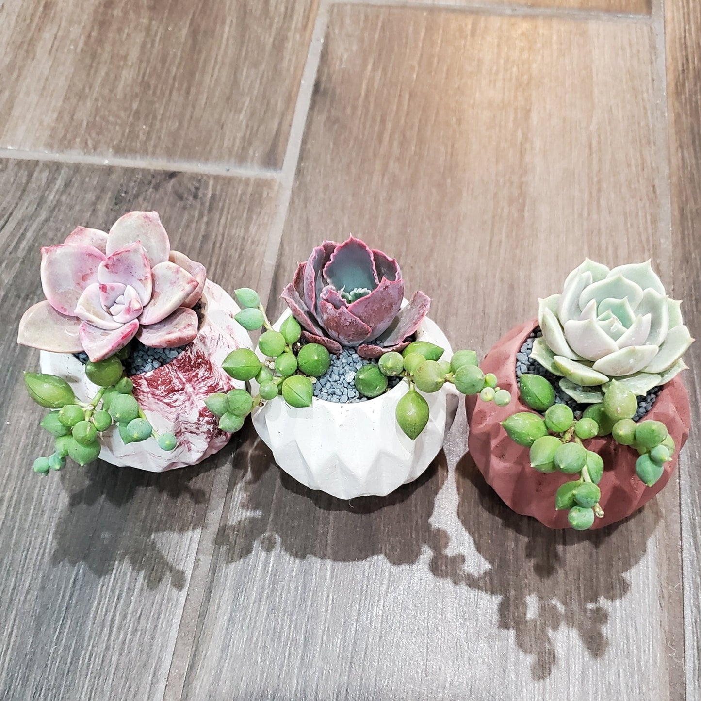 Mini Arrangement Trio