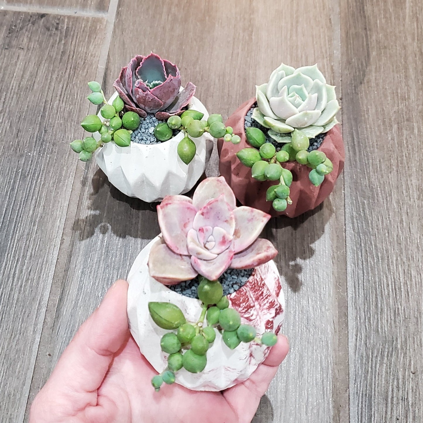 Mini Arrangement Trio