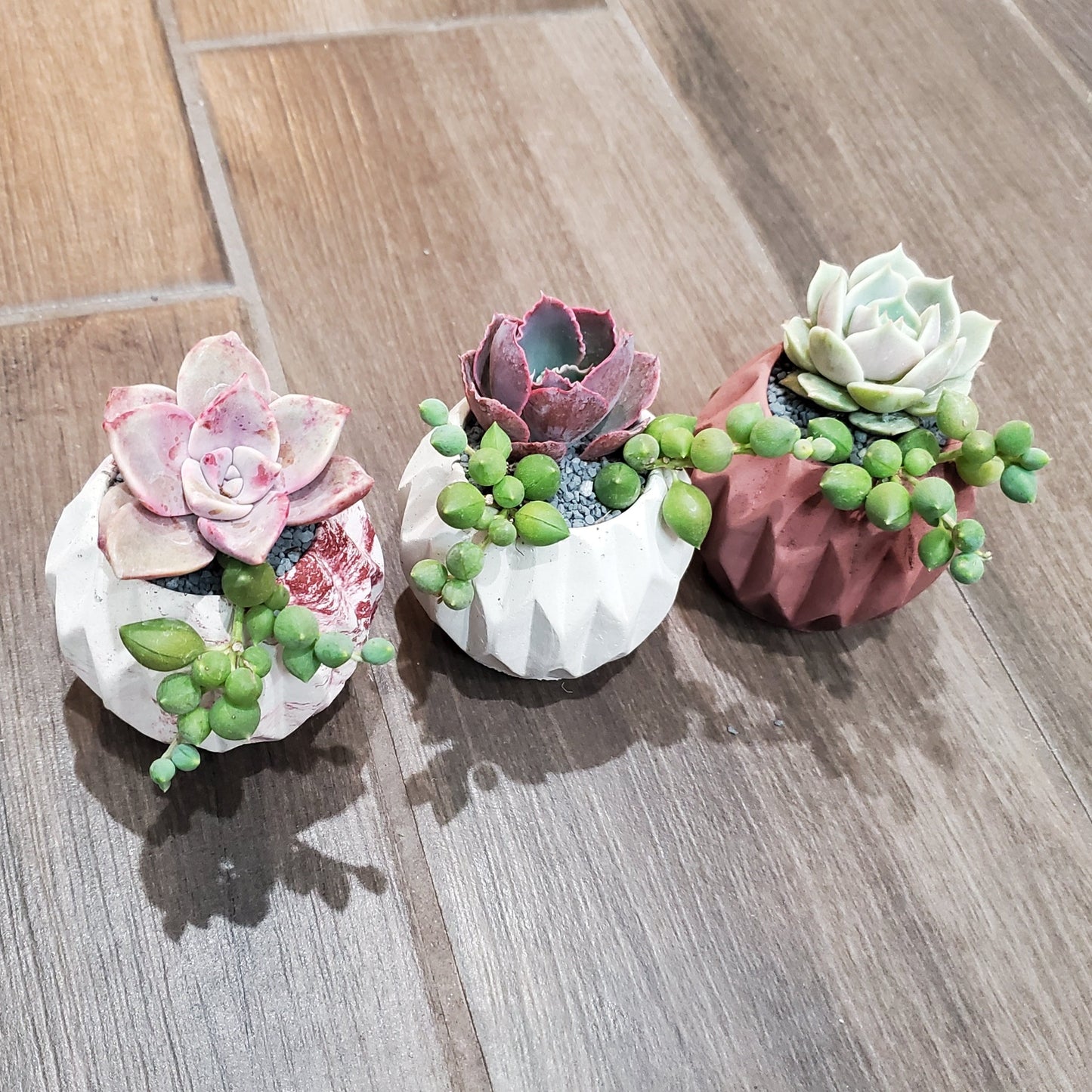 Mini Arrangement Trio