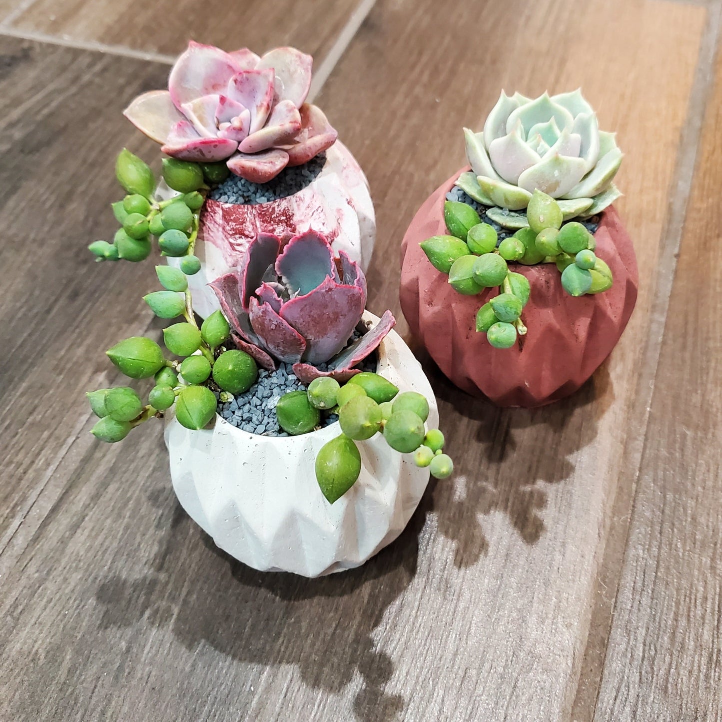 Mini Arrangement Trio