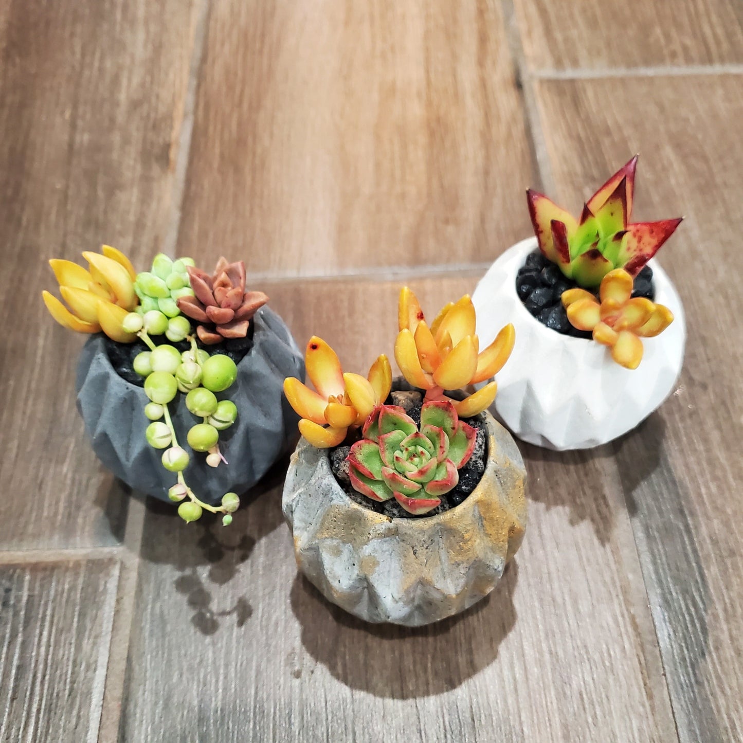 Mini Arrangement Trio