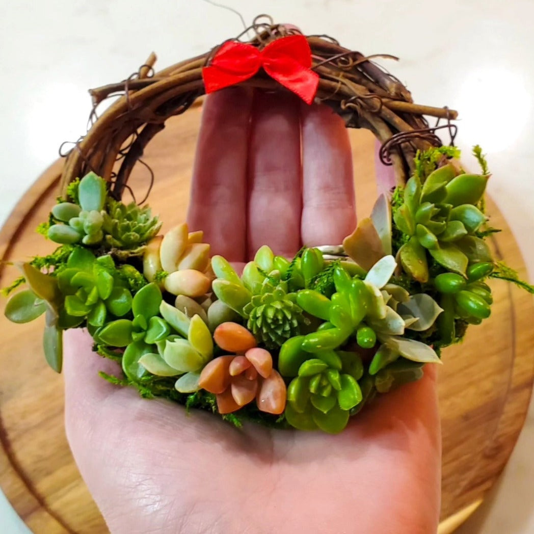 diy succulent ornament Succulent Christmas Wreath Ornament